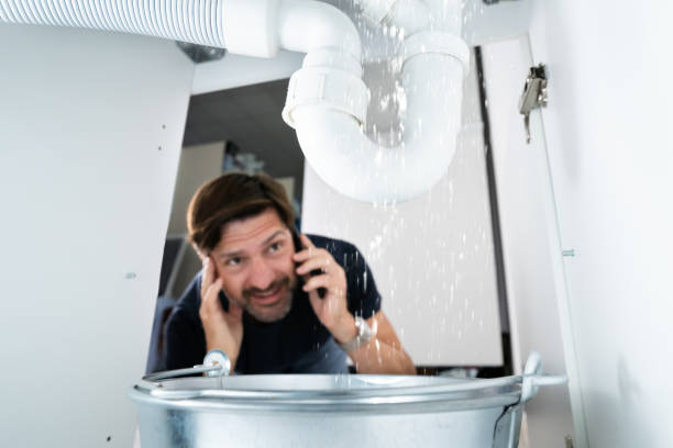 Best Plumbing Repair Near Me  in Fridley, MN